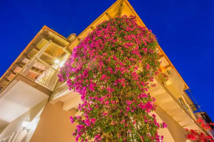 Villa Emily Zakynthos