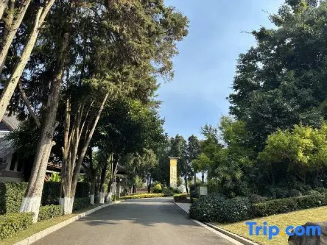 Tianyi Tea Homestay