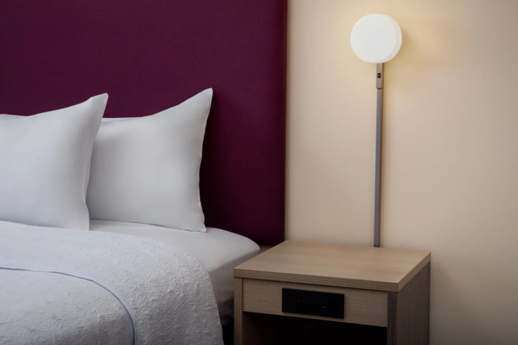 1 Bedroom Single Suite
