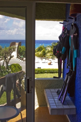 Standard room with balcony and with partial ocean view