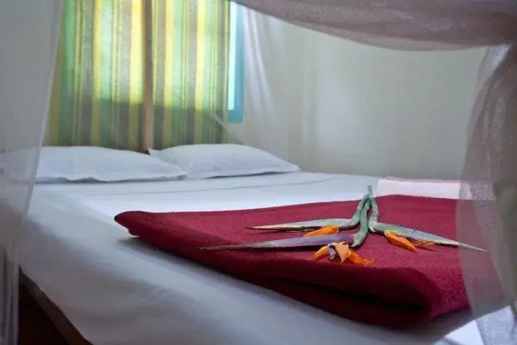 Cuba Retreat Mandrem