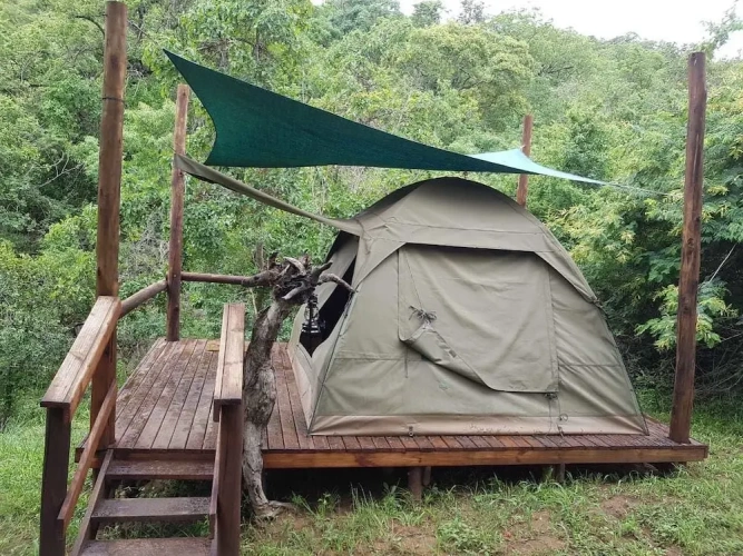 Tent