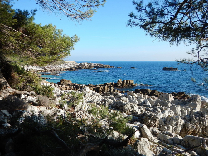 Hotel Miramar Cap D'antibes photo 18