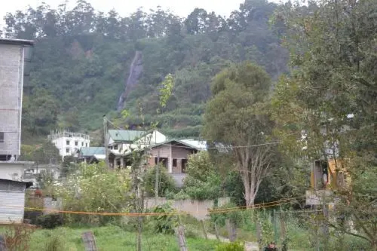 Glenfall Guest