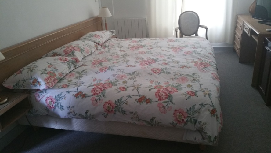 Standard Twin room with garden view