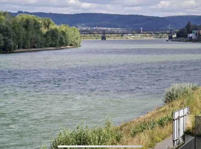 Modernes Apartment mit Wunderschönem Rheinblick