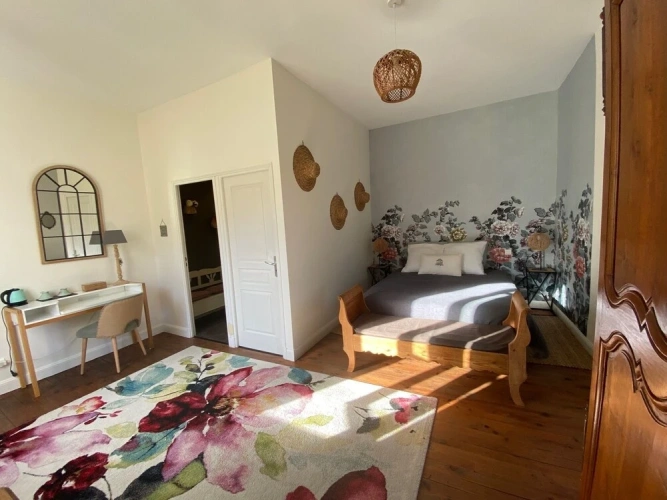 Superior Double room with park view