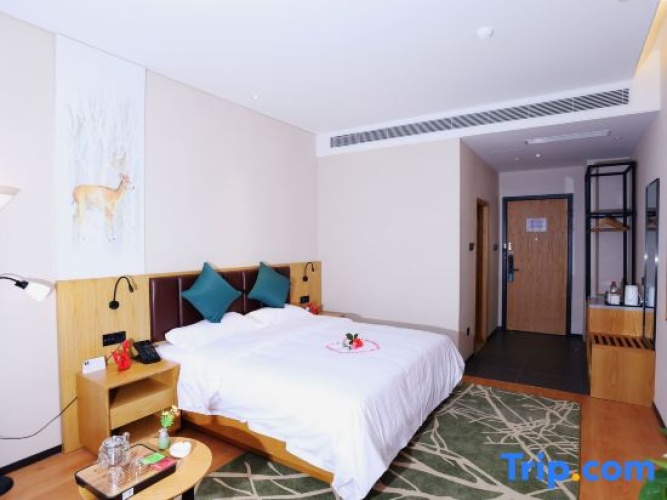 Deluxe Double room with street view