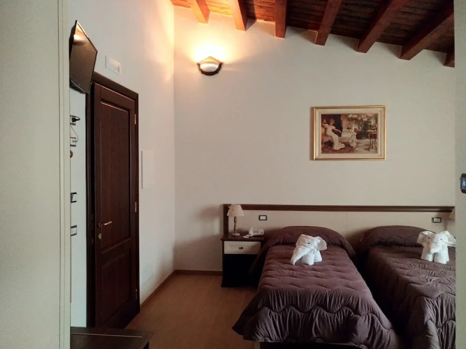 Business Double room with garden view