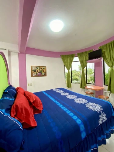Standard Suite