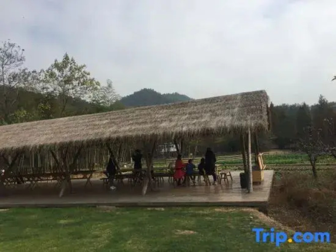 Maple Villas Resorts