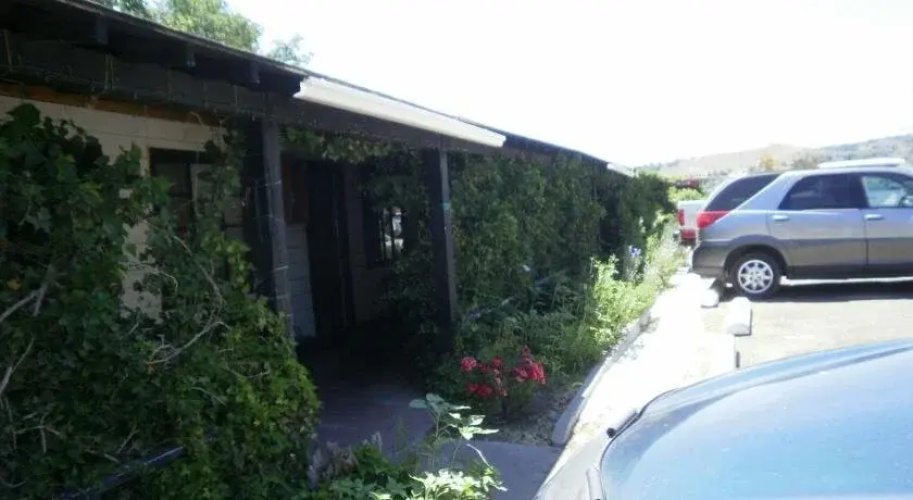 Wildflower Village