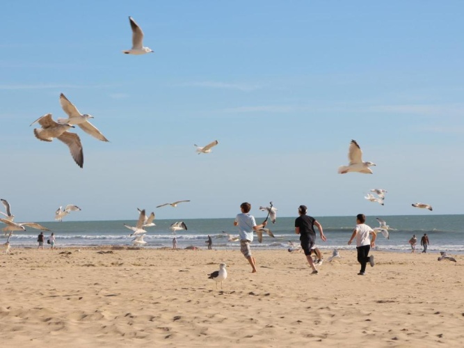 Beach