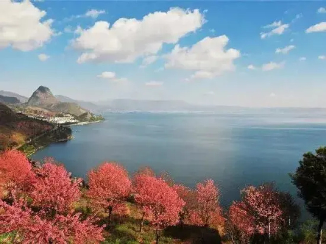 Microtel Yuxi Wanda BY WYNDHAM