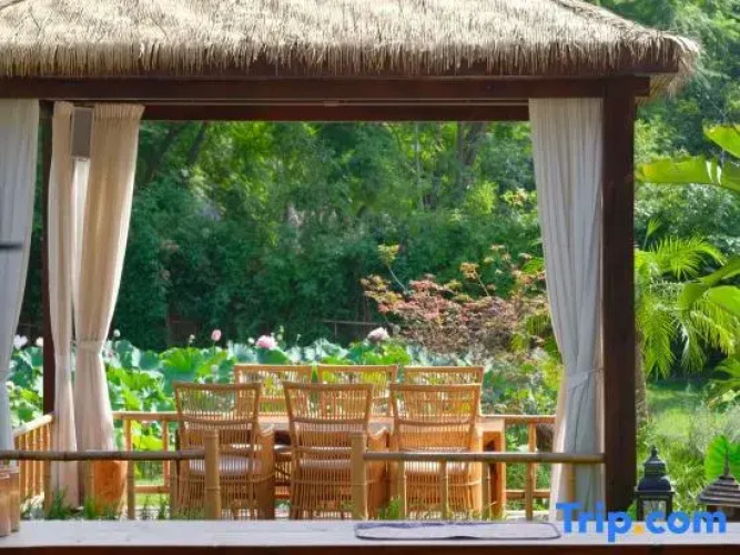 Meilan Meilu · Forest  Healing  Guesthouse