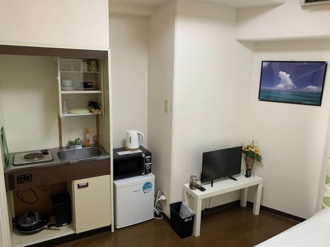 Double Apartment
