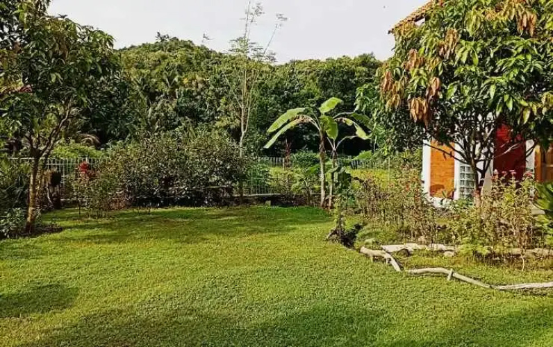 Sri Gaïa Yogyakarta