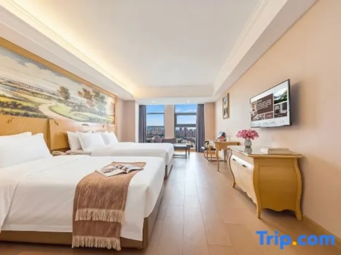 Deluxe Twin Family room with city view