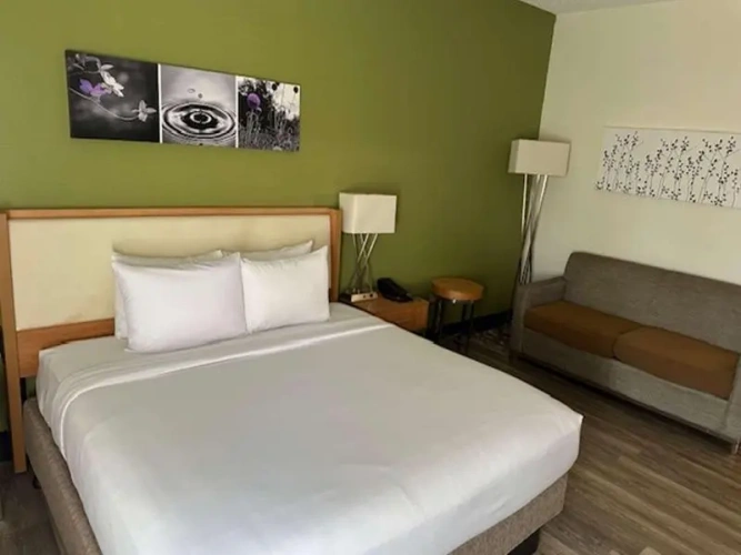 Standard Suite