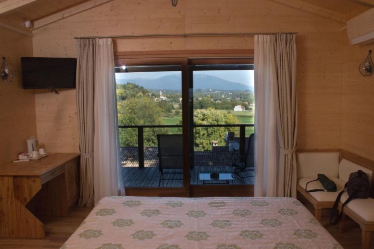 Junior Suite with view