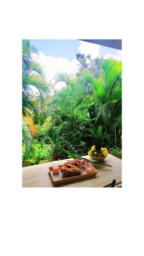 Villa tropicale charmant T2 dans un cadre verdoyant