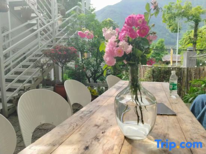 Yingying's yard