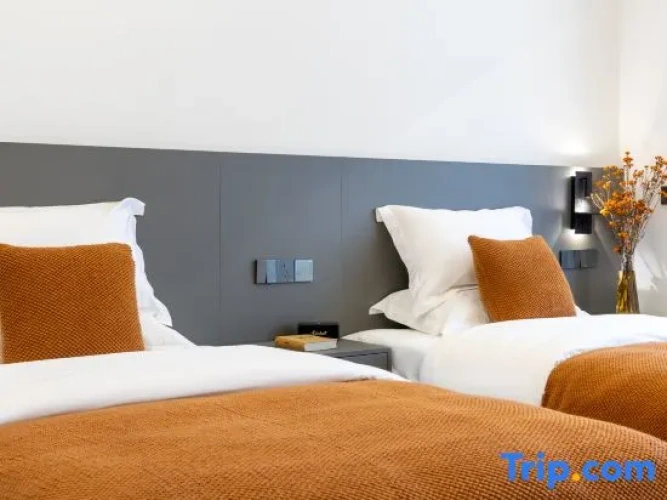 Luxury Twin room with mountain view