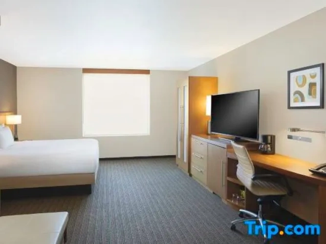 Executive Double room with city view
