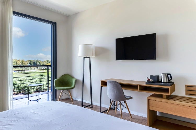 Standard room with mountain view