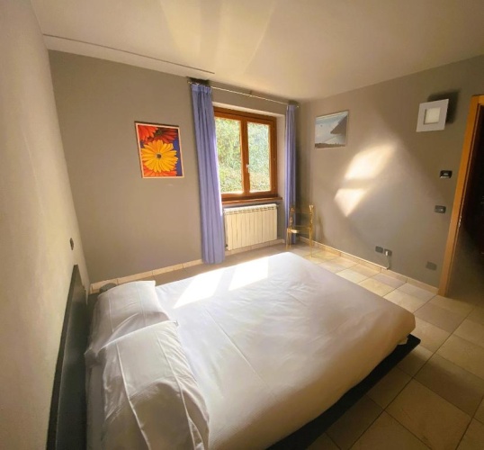 Deluxe Double room with balcony and with lake view