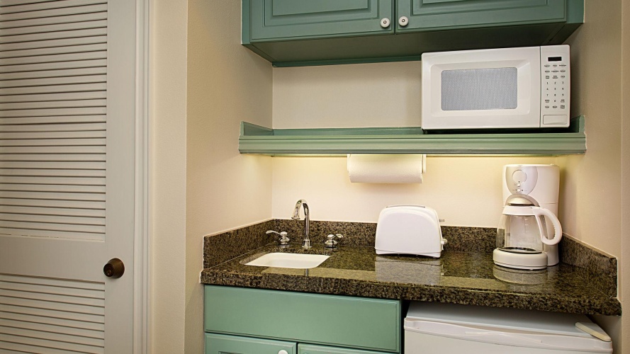 Disney's Saratoga Springs Resort & Spa photo 15