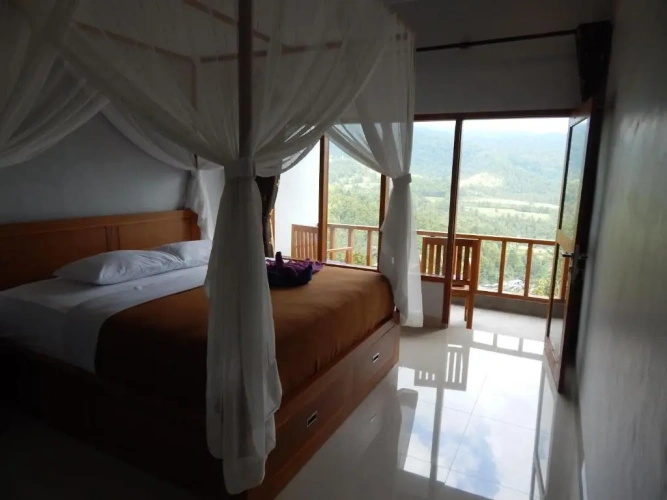 Standard Double room with balcony and with mountain view