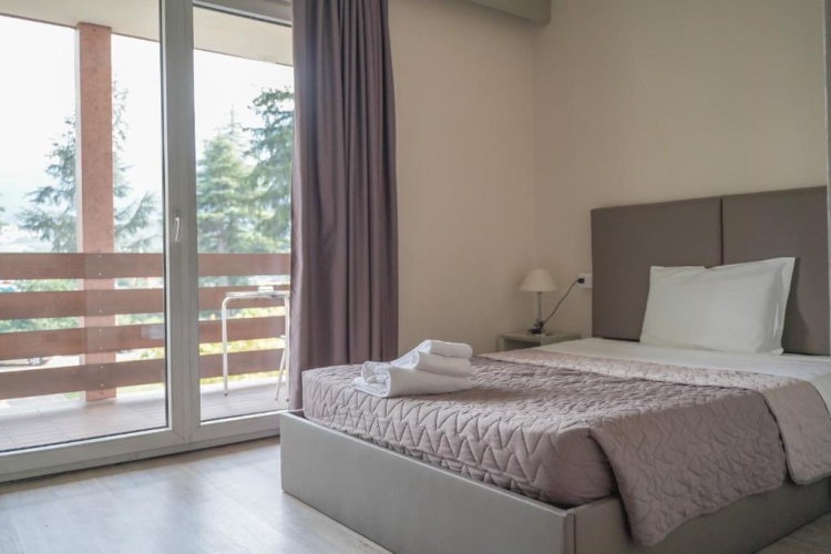 Standard Double room with balcony and with view