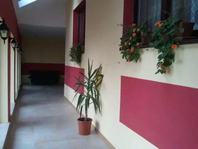 Bed  Breakfast Green Roof