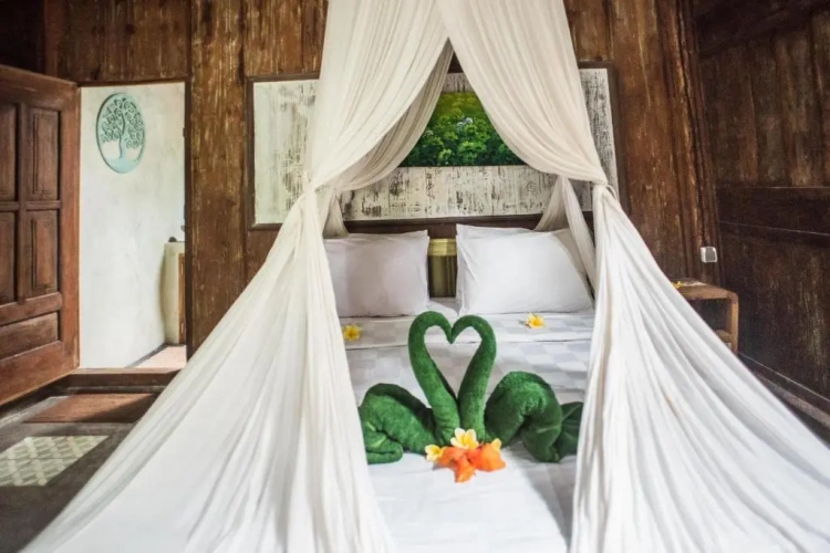 Standard Double room with garden view