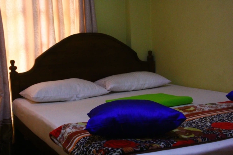 Deluxe Double room with balcony and with view