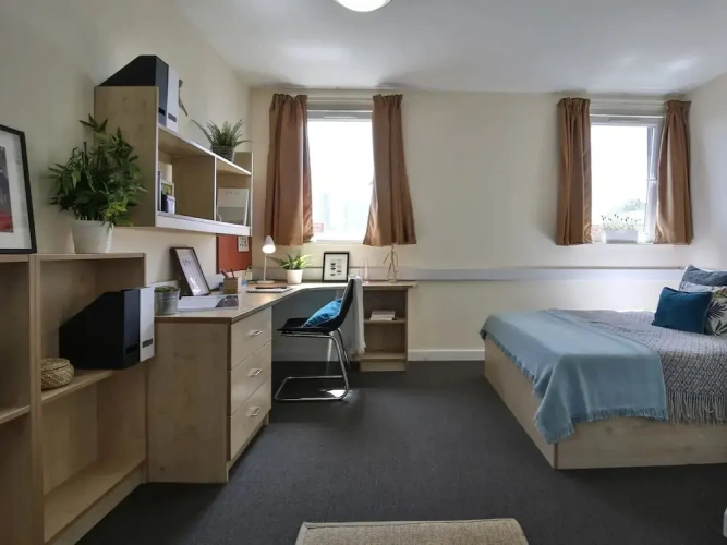 Standard Single room