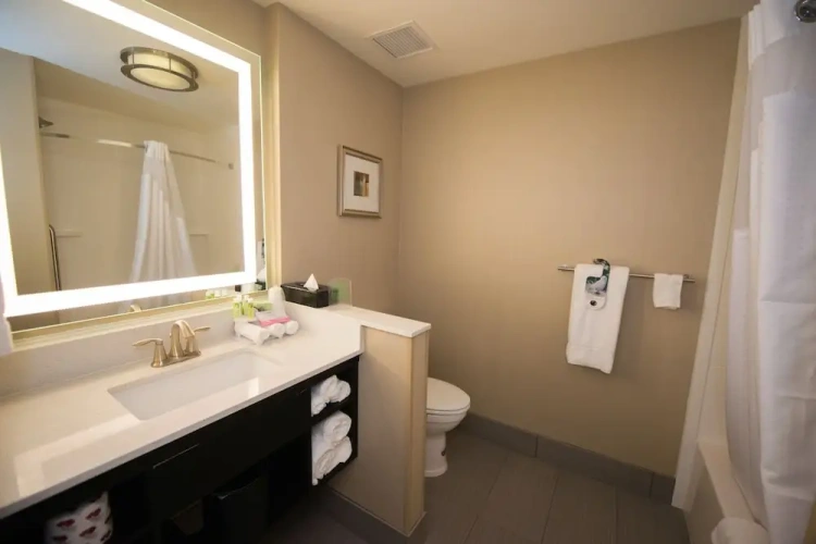 Double Suite with mountain view