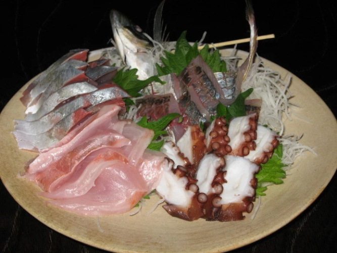 Minshuku Katanashi
