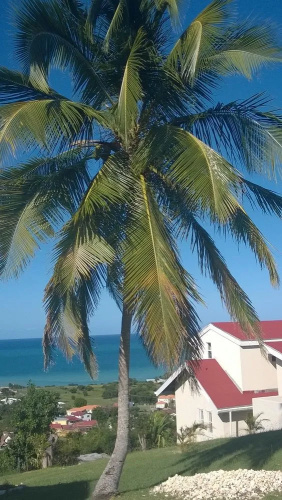 Mahogany Tree Villas