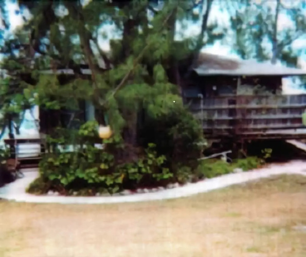 Two Moons House