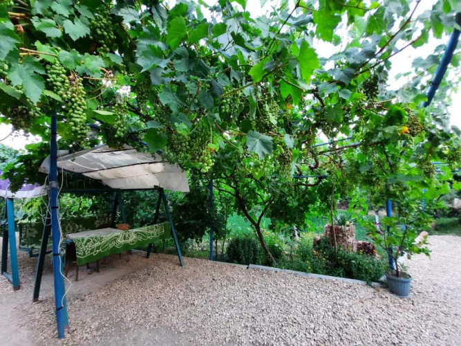 Ararat B&B