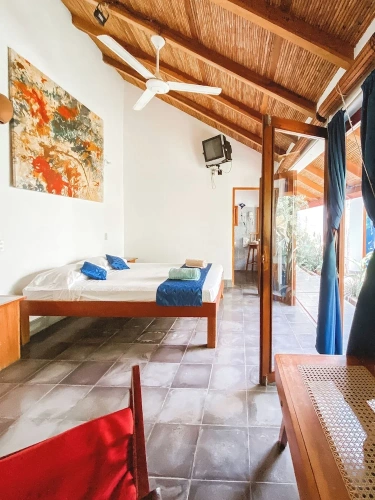 Standard Double room with garden view