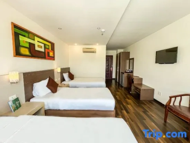 Standard Triple room with city view