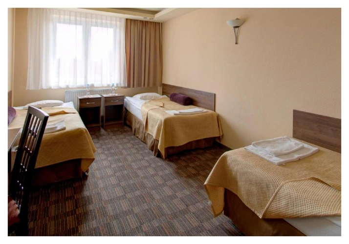 Standard Triple room