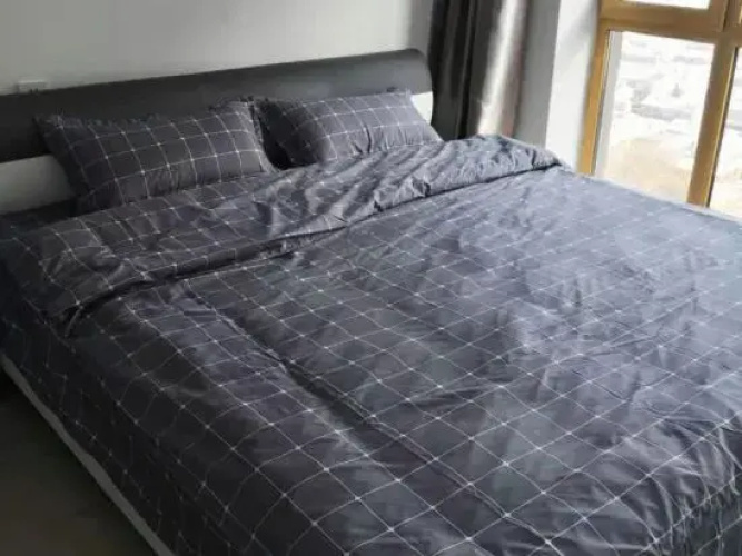 Harbin Breeze Homestay