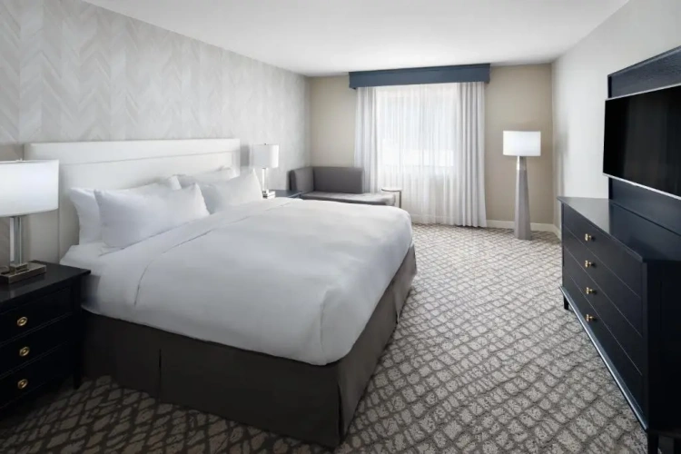 1 Bedroom Sofa bed Double Suite