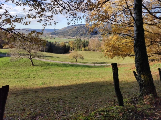 Family Cottage