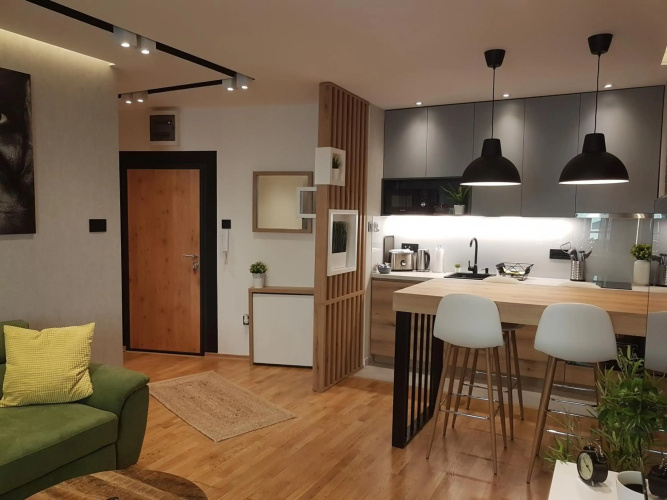 Tesla 3 Apartment