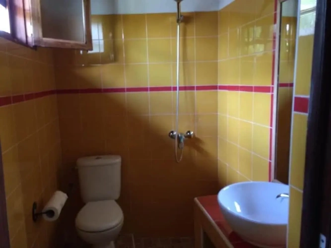 Standard Double Basement room with view